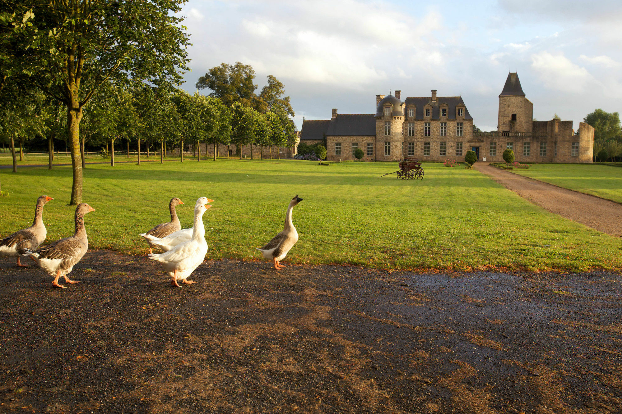 Chateau Du Bois-Guy Golf Parigné Exterior foto